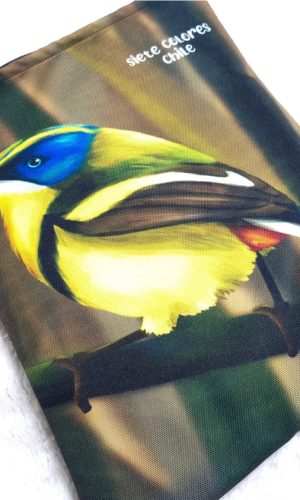 Funda de Libro Impermeable SIETE COLORES